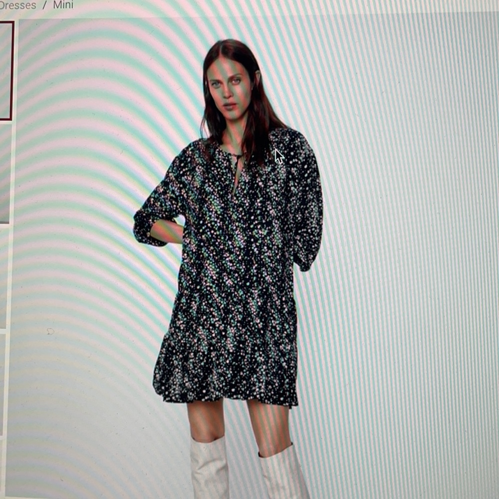 Zara dress